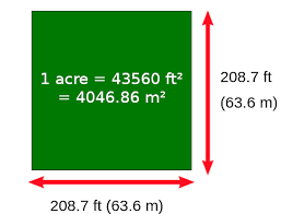 5 Difference Between Hectare And Acre Viva Differences