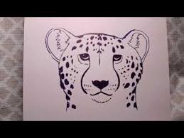 I'm trying to keep things in perspective and because of that i just had to go. How To Draw A Realistic Cheetah Face Youtube