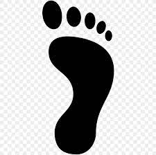 足跡 footprint) are the tracks left by a pokémon. Footprints Png 1600x1600px Footprint Black And White Carbon Footprint Ecological Footprint Foot Download Free