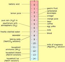 How Certain Beverages Affect Tooth Decay Science Fair Project