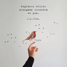Kuslarin Dilini Konusmak Isterdim En Cok Bunun Disinda Butun Istediklerim Gerceklesti Hem Her Sey Hem De Hicbir Sey Ilham Veren Sozler Guzel Soz Alintilar