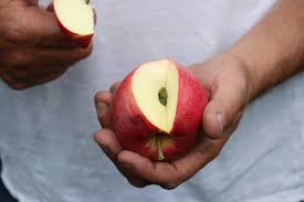 Reife äpfel lassen sich zudem leicht pflücken. Wann Sind Apfel Reif 7 Objektive Kriterien Lubera