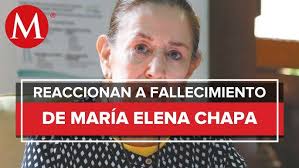 Murió María Elena Chapa, impulsora de la igualdad de género
