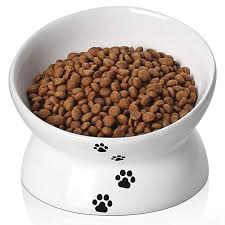 Amazon Com Y Yhy Ceramic Raised Cat Food Bowl Slanted Cat Dish Tilt Angle Protect Cat S Spine Stress Free Backflow Cat Food Bowl Cat Food Dish Food Bowl