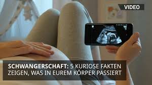 Alles Uber Wehen Vom Allerersten Ziehen Bis Zur Nachgeburt Familie De