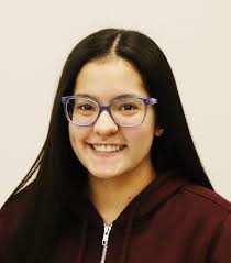 2017 Standard-Times Girls Volleyball Super Team and All-Stars