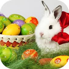 Free easter wallpaper for phone. Easter Live Wallpaper Free Apps On Google Play