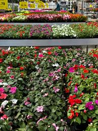 😳 What a crazy busy...