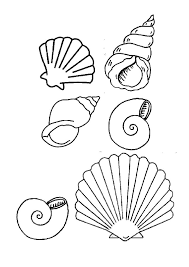 Coloriage Coquillage De Mer A Colorier Dessin A Imprimer Starfish Drawing Drawings Easy Drawings