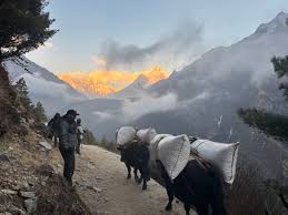 Everest Base Camp Trek from India, Nepal 2026 | Book @ Flat 48% Off