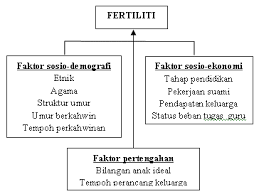 Jadi, semua aktiva yang dimiliki berasal dari utang dan modal perusahaan. Http Journalarticle Ukm My 5852 1 8ok Geografia Dis 25202012 Zamree Edam Pdf