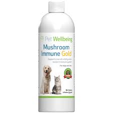 Maybe you would like to learn more about one of these? Mushroom Immune Gold Holistic Canine Cancer Support Pet Wellbeing
