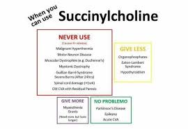 Image result for Succinylcholine