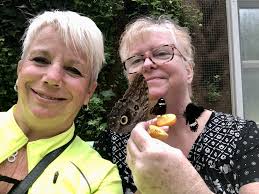 Contributions to the tribute of Judith Ann Connell