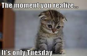The key reason behind the emergence of work from home concept was those mothers who wanted to work and provide their valuable contribution to growing the country's economy and take care of their kids as well. 95 Funny Tuesday Memes And Pun Quotes With Images Littlenivi Com