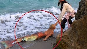 Image result for real mermaid
