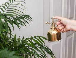 Plant Mister Brass Brass Plant Mister Plant Mister Plants