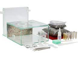 20 x 20 x 20. Antstore Ameisenshop Ameisen Kaufen Antcube Starter Kit L 20x20cm Habitat Forest