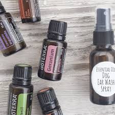 Essential Oil Dog Ear Wash Spray For Ear Infections Recipe Recipe Essential Oils Dogs Dog Ear Wash Oils For Dogs
