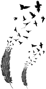 Birds Of A Feather 2 Birds Of A Feather 2 Temporary Fake Tattoo Waterpoof Art Transfer Flock Morph Feather With Birds Tattoo Fake Tattoos Nature Tattoos