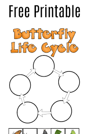 Maybe you would like to learn more about one of these? Butterfly Life Cycle Worksheet