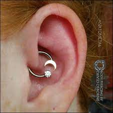 Bodypiercingbydavidosborne Earings Piercings Daith Piercing Jewelry Piercing Jewelry