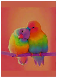 Pin By Mary Kinsinger On Animals1 Colorful Animals Cute Animals Cute Birds