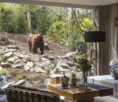 Overnight Inside A Polar Bear S Den In 2020 Dream Hotels Lake Hotel Safari Lodge