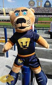 En 1949, fue enviado al. Eliminar Hostilidad Inferior Pumas Mx Oficial Tiza Grosor Guapo