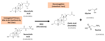 **product has a floor of 4.00% apr. Foods Free Full Text In Vitro Bile Salt Hydrolase Bsh Activity Screening Of Different Probiotic Microorganisms Html