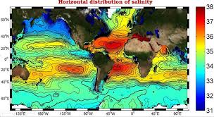 ocean salinity vertical horizontal distribution of ocean