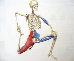 When most people mention their back, what they are actually referring to is their spine. Impact Of Hip Mobility On Low Back Pain Sydney Sports And Exercise Physiology