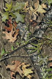 We did not find results for: Cool Camo Wallpapers Military Camouflage Camouflage Pattern Green Clothing 335886 Wallpaperuse