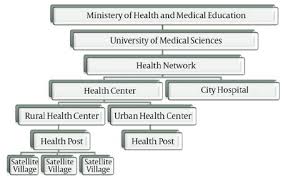 organizational structure of the health system in iran