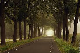 م خرج واحد من الاكتئاب روس ويليامسون زحمة