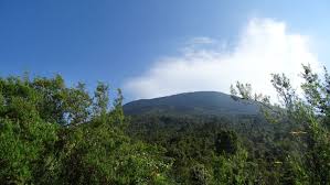 The mount nyiragongo volcano outside goma in the eastern democratic republic of congo started to erupt on saturday, according to the drc government and the goma volcano observatory. Trekking Im Kongo Besteigung Des Nyiragongo Walk To Balance