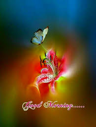 See more ideas about good morning picture, morning pictures, good morning. á… Top 200 Good Morning Wishes Images Morning Pictures
