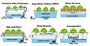 6 Different Types Of Hydroponic Systems Nosoilsolutions Aquaponics System Hydroponics System Aquaponics