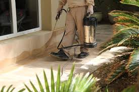 That makes them easy prey for plant pests that find their way indoors. Service Station Insect Control Tip The Real Reason You Should Tip The Owners Performer Impulsive Pest Killer