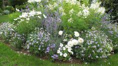 Utiliser Le Bicarbonate De Soude Dans Le Jardin Comme Desherbant M6 Garden Ideas Jardins Jardin Paysager Und Entretien Jardin