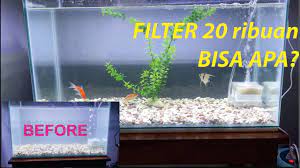 Best aquarium air pumps reviews. Review Filter Aquarium Celup Mini Harga Cuma 20 Ribuan Youtube
