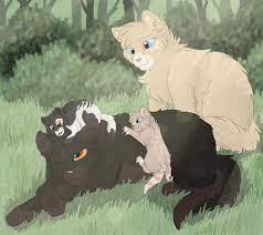 Pin On Warriors Cats