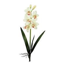 Laura Cole 31 Cymbidium Orchid Spray Cymbidium Orchids Fake Flower Arrangements Orchids