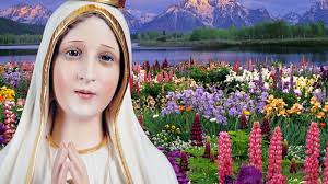 America Needs Fatima