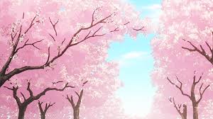 Check spelling or type a new query. Portrait Sakura Tree Anime Background Novocom Top