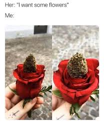 I want some flowers meme. Weed Humor Facebook