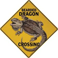 Bearded Dragon Crossing Aluminum Sign Bearded Dragon Dragon Bearded Dragon Diet