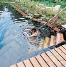 It is easy to turn your unused swimming pool into a stunning natural pond which will encourage birds, frogs, bees and more to visit and make their home in your garden. Https Www Grit Com Tools Build Your Own Natural Swimming Hole