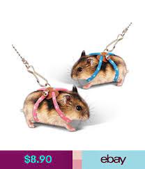 Pin On Hamster