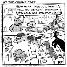 Black And White Springer Spaniel Cartoon Pin By Angela Raby On Cartoons Dog Jokes Springer Dog Dog Comics